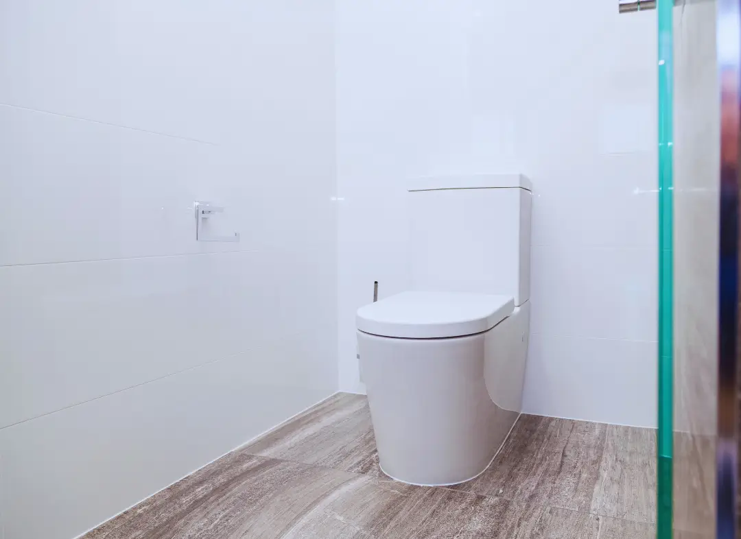 Remplacement de wc Laudun-l'Ardoise